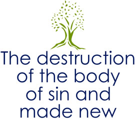 Newness of Life